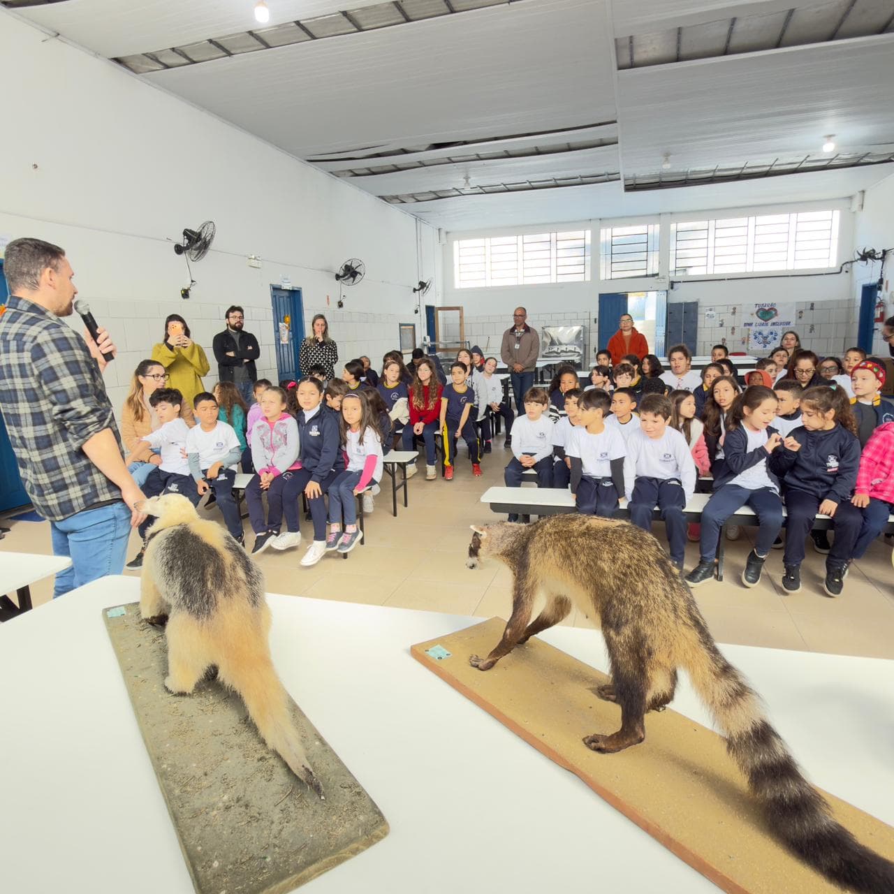 Educação Ambiental na Escola: Alunos de Tubarão Aprendem Sobre Fauna e Sustentabilidade