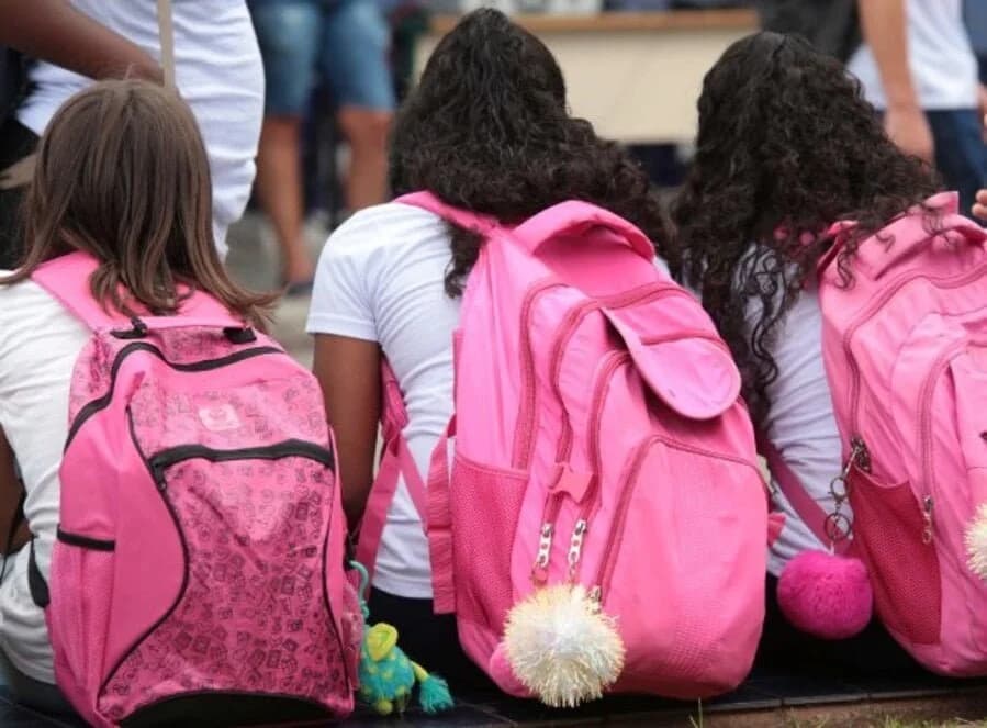 Câmara de Tubarão aprova mudança na escolha de diretores das escolas municipais