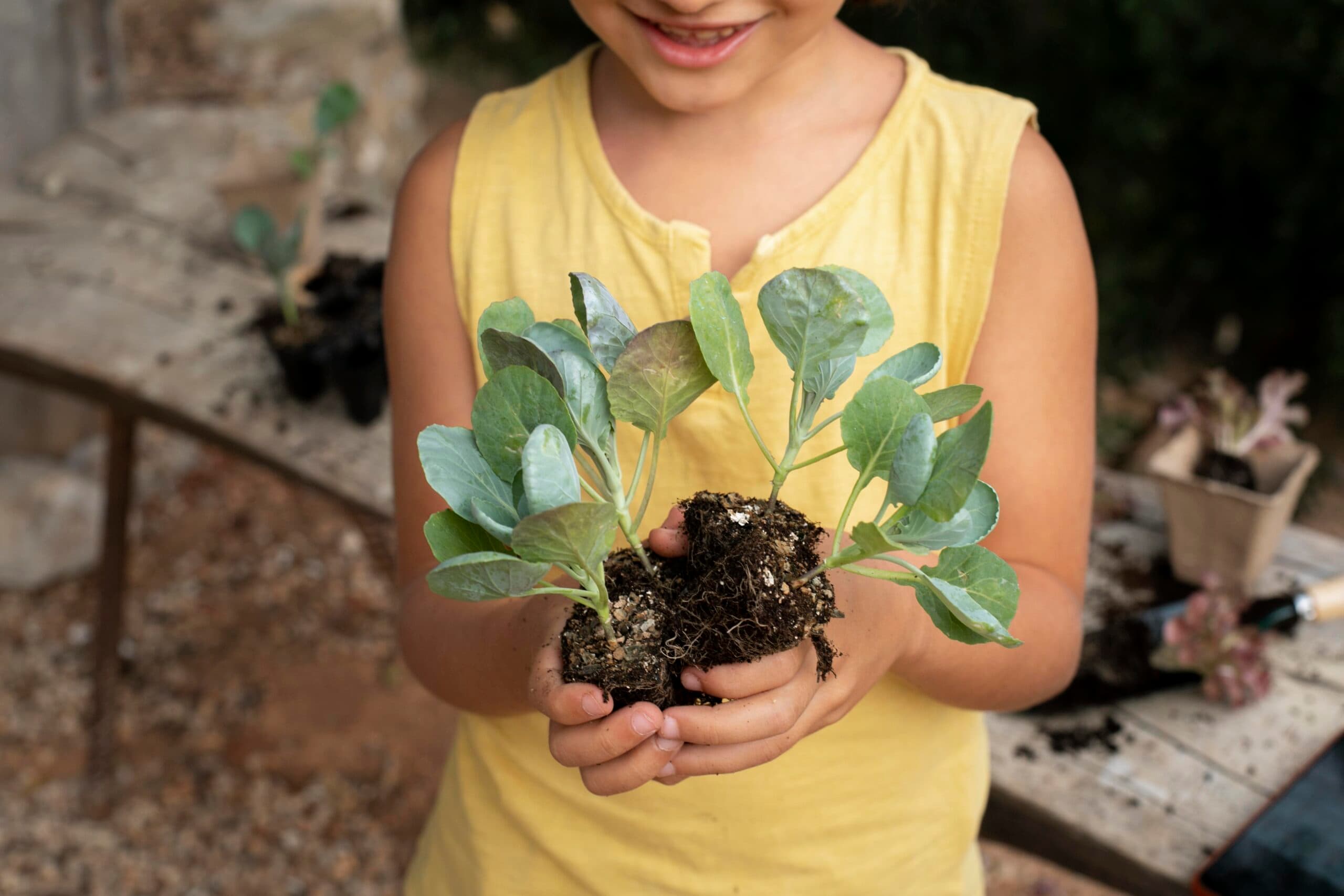 Tubarão celebra Dia do Meio Ambiente com ações educativas em escolas